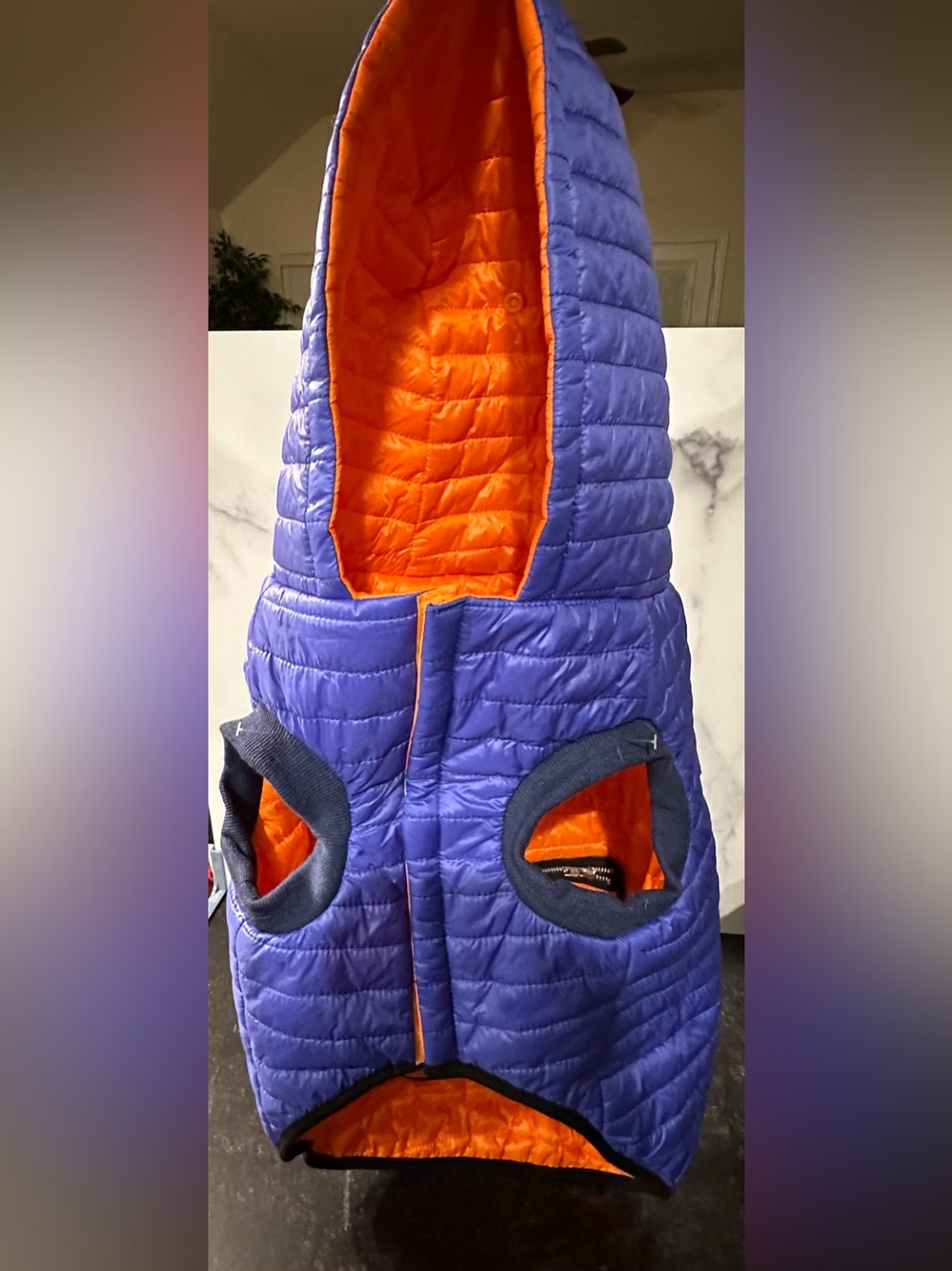 Winter Puffer Dog Coat w/ Temperature Alert